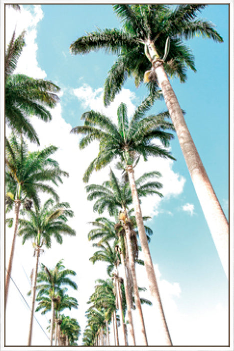 Palm Boulevard Wall Art
