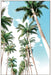Palm Boulevard Wall Art