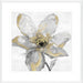 Petals and Gold Wall Art