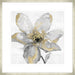 Petals and Gold Wall Art