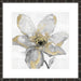 Petals and Gold Wall Art