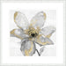 Petals and Gold Wall Art