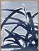 Plant Life II Wall Art