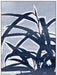 Plant Life II Wall Art