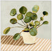 Plant on Stripes I Wall Art