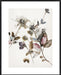 Playing Flower 2 Wall Art