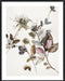 Playing Flower 2 Wall Art