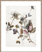 Playing Flower 2 Wall Art