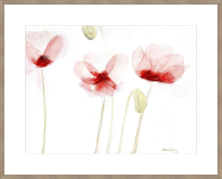 Poppies From Memory Wall Art