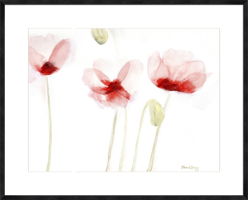 Poppies From Memory Wall Art
