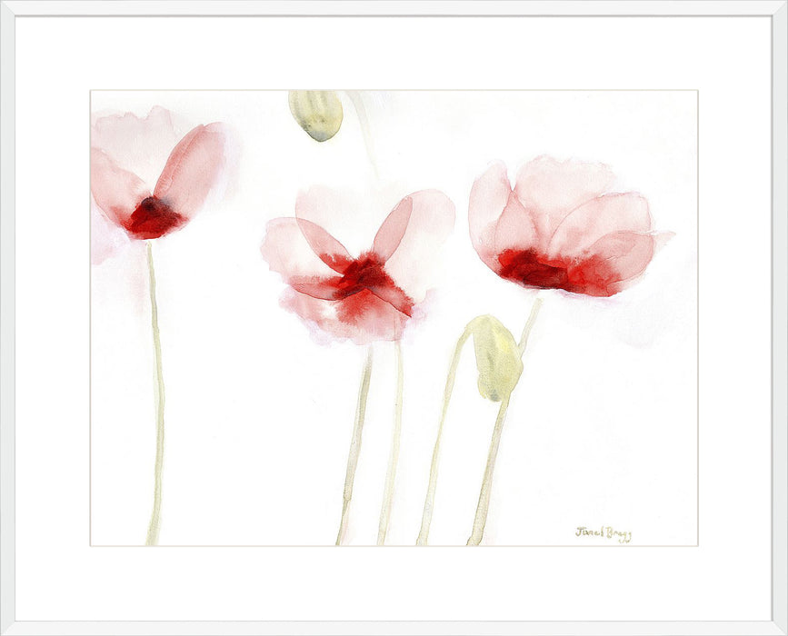 Poppies From Memory Wall Art