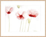 Poppies From Memory Wall Art