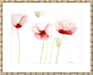 Poppies From Memory Wall Art