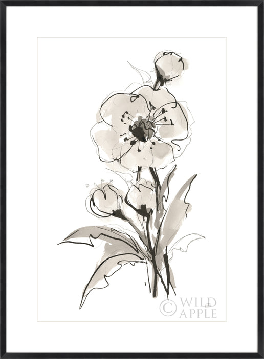 Poppy II Wall Art