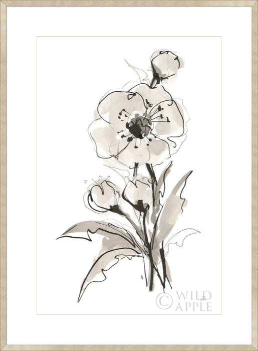 Poppy II Wall Art