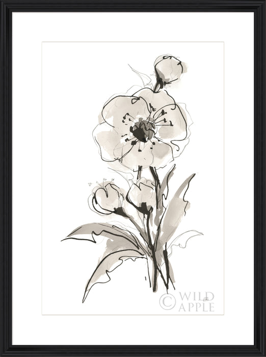 Poppy II Wall Art