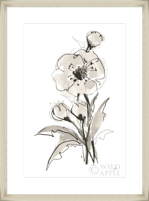 Poppy II Wall Art