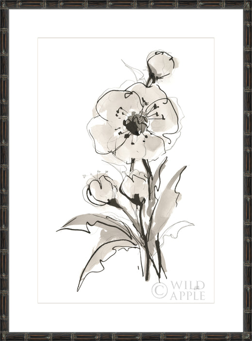 Poppy II Wall Art