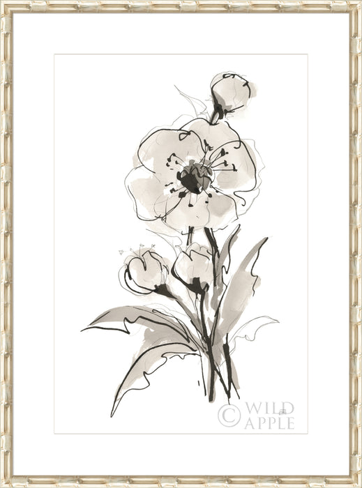 Poppy II Wall Art
