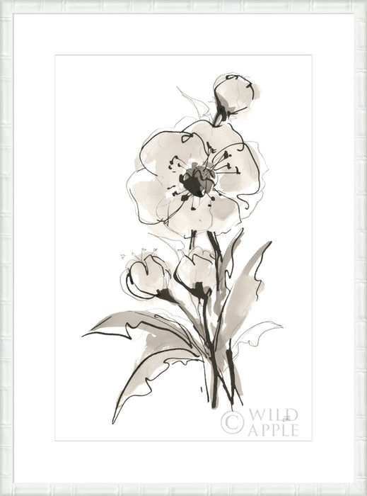 Poppy II Wall Art