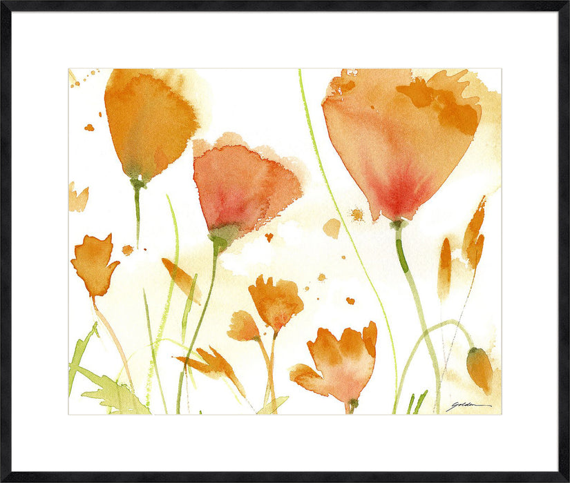 Poppy Moment Wall Art