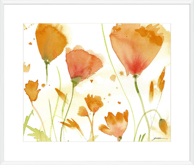 Poppy Moment Wall Art