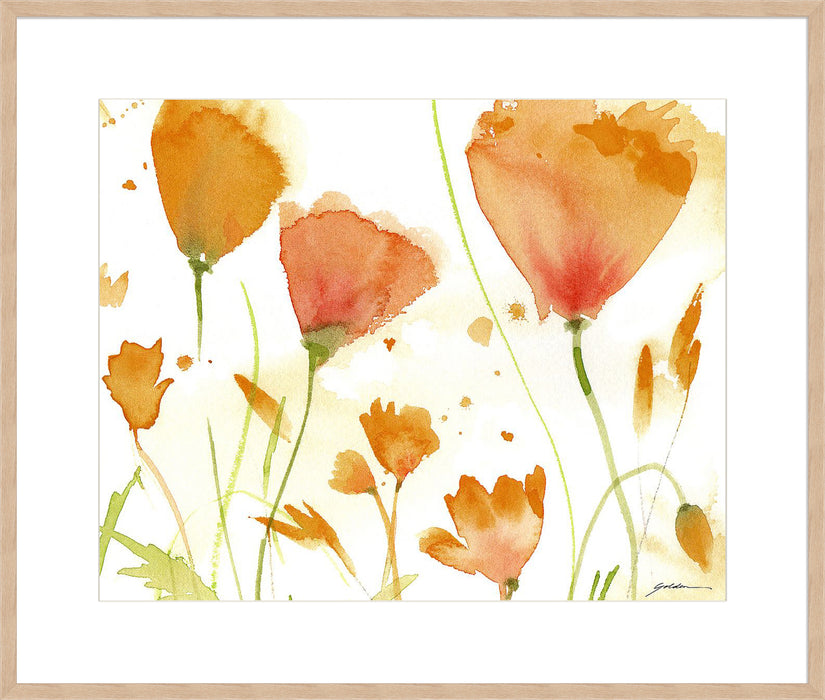 Poppy Moment Wall Art