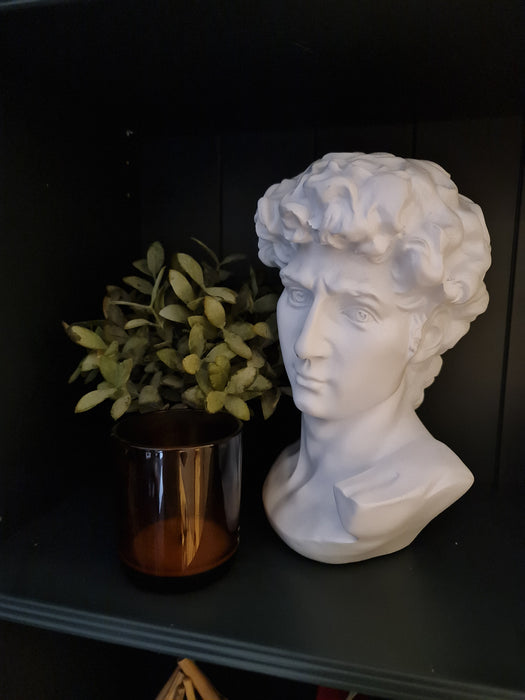 David Bust - Resin