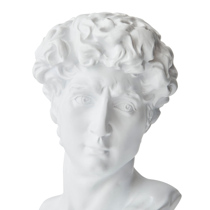 David Bust - Resin