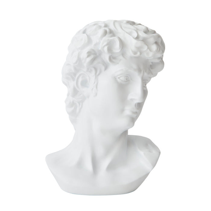 David Bust - Resin