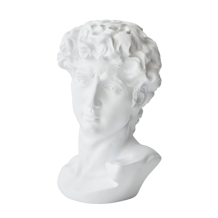 David Bust - Resin