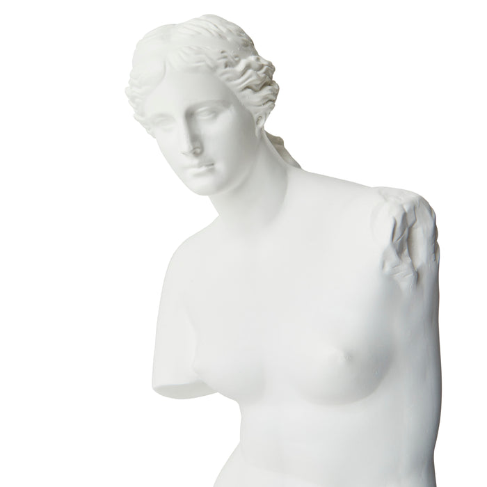 Venus Bust - Resin