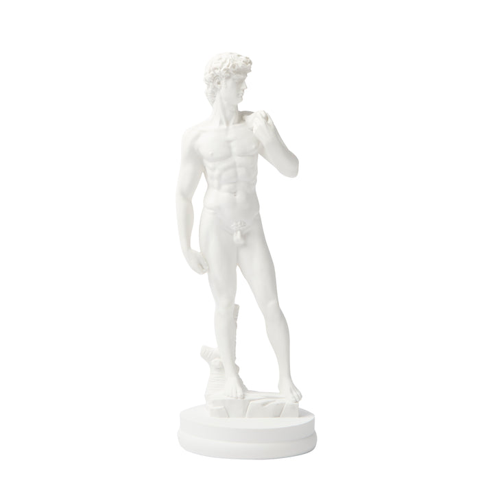 David Statue - Resin