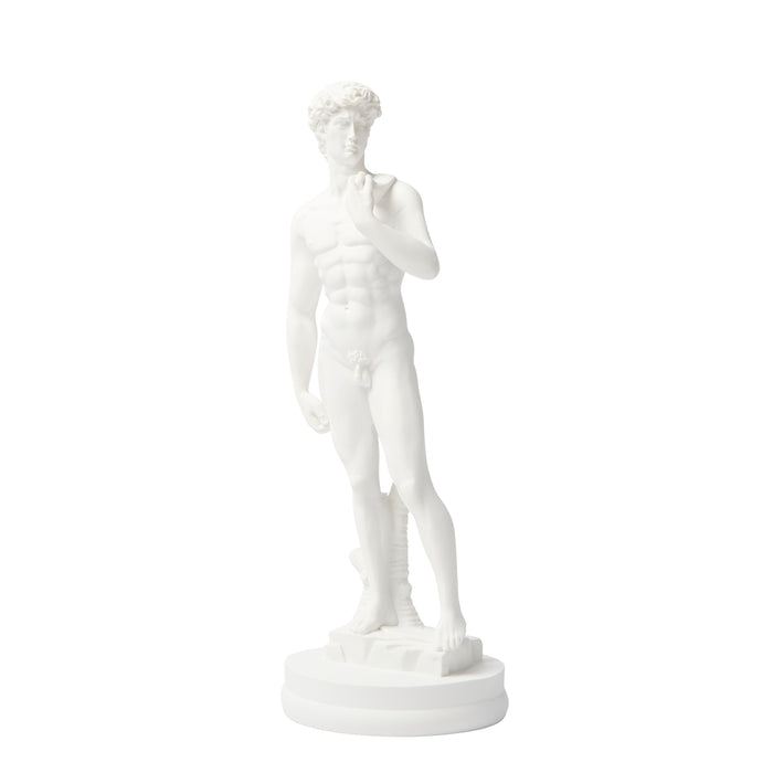 David Statue - Resin