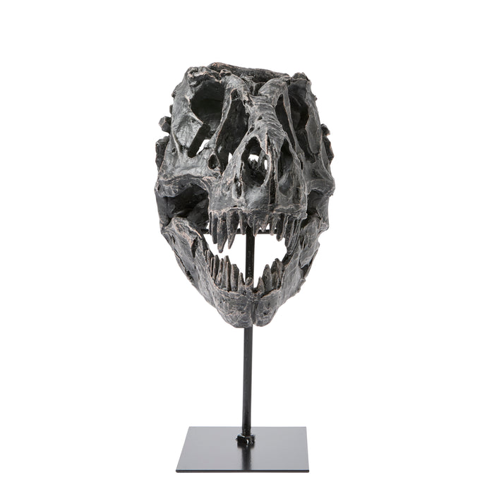 Dino Skull Sculpture - Resin