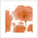 Red Orange Poppies Wall Art