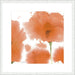 Red Orange Poppies Wall Art