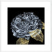 River Roses I Wall Art
