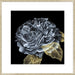 River Roses I Wall Art