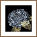 River Roses I Wall Art