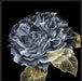 River Roses I Wall Art