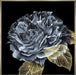 River Roses I Wall Art