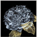 River Roses I Wall Art