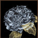 River Roses I Wall Art