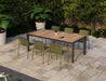 Roku Dining Chair - Eucalyptus Green