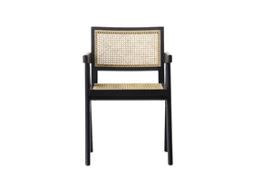 Scout Rattan Occasional Chairs Black (Set of 2)