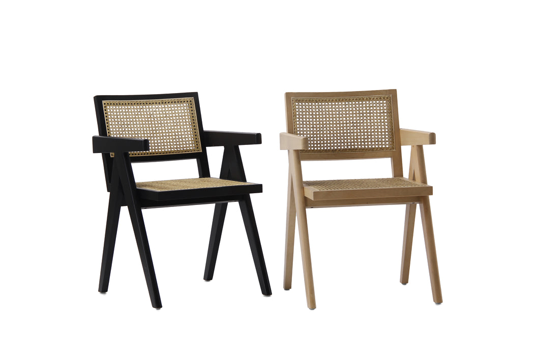 Scout Rattan Occasional Chairs Black (Set of 2)