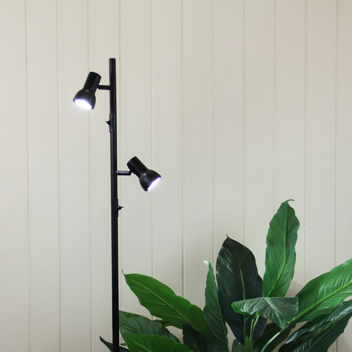 Daxam Led Black
