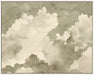 Sepia Wooly Sky I Wall Art