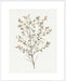 Single Sprig III Wall Art